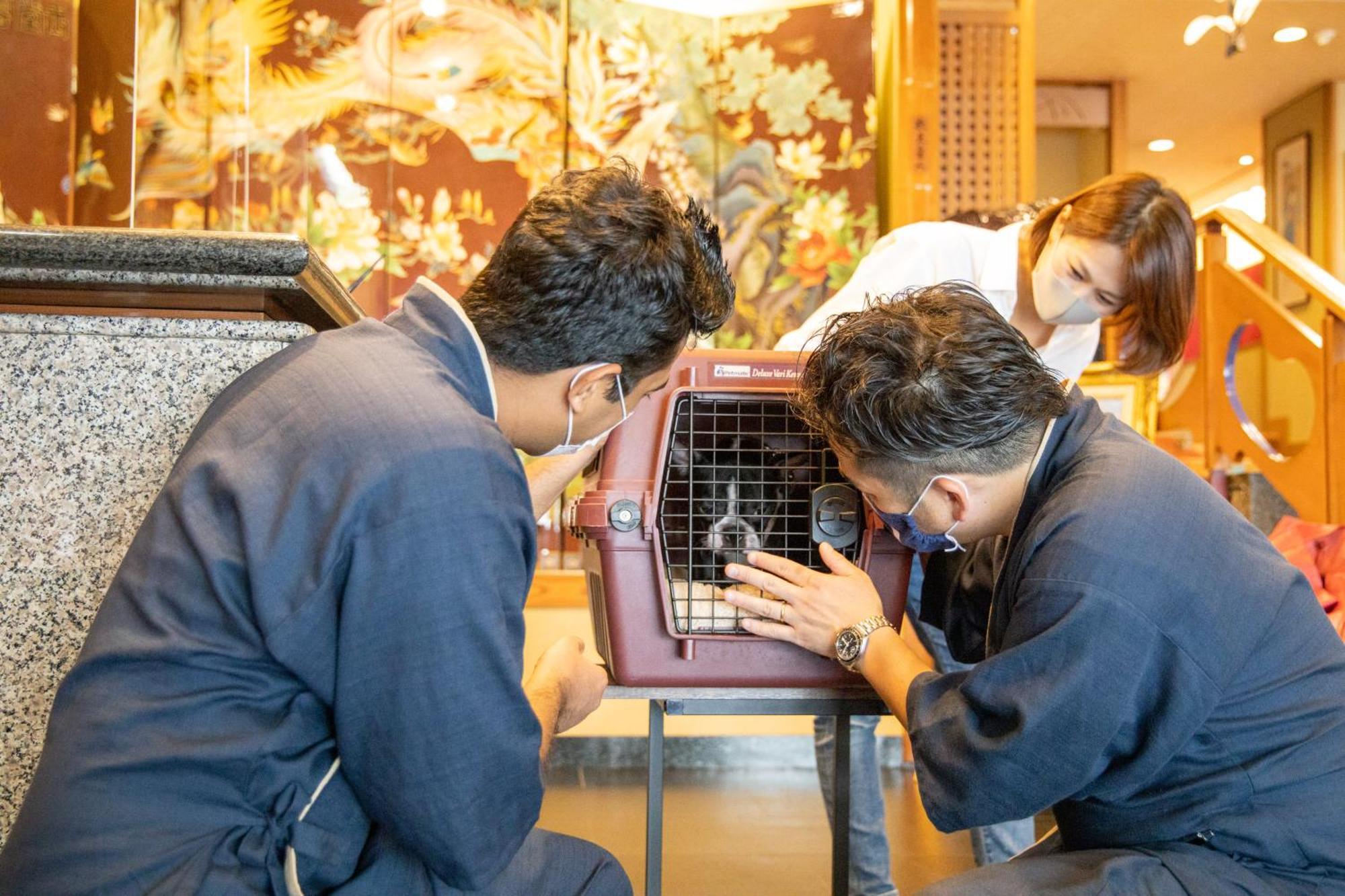 Komatsuya Hachinobou Izunokuni Kültér fotó